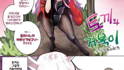 토끼와 거북이 [쇼츠야동,섹트야동,국산야동,혼딸야동]